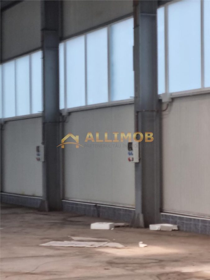 Hala de vânzare în Ploiesti â€“ Zona Bariera Bucuresti - foto 4