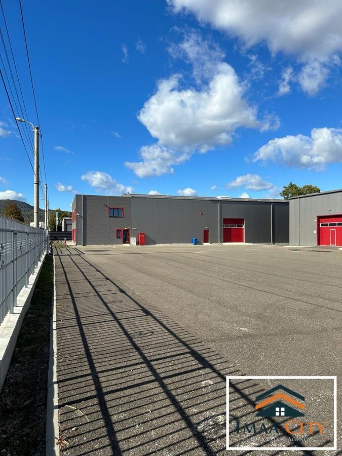 Hale depozitare, Piatra Neamt - Piatra-Neamt