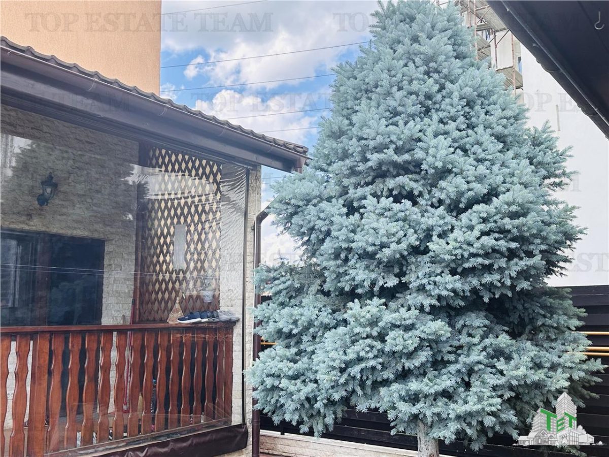 Vila superba 360 mp construiti, 524 mp curte, 6 camere, P+1+M ROSU - foto 11