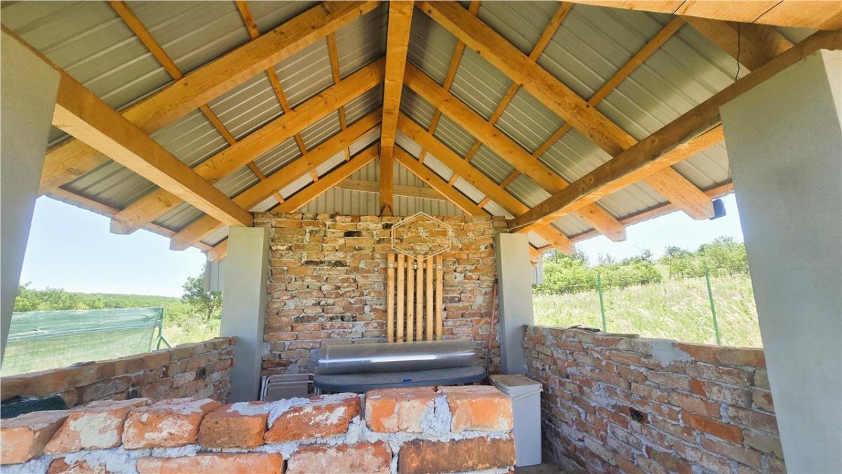 VIDEO | ?? Loc pentru casa, cabana sau cazare turistica in Ardud | Vedere de vis spre Satu Mare si padure - foto 16