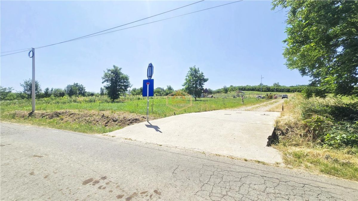 VIDEO | ?? Loc pentru casa, cabana sau cazare turistica in Ardud | Vedere de vis spre Satu Mare si padure - foto 22