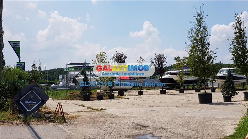 Vanzare lot teren de 8300 mp foarte aproape de Therme Balotesti-Otopen - foto 2