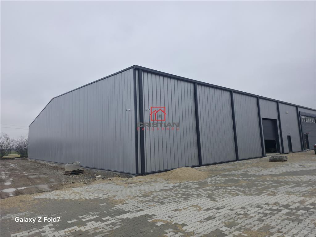 Inchiriere depozit/hala/spatiu industrial Mogosoaia - Buftea - 