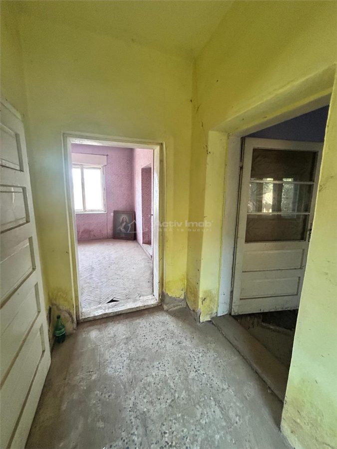 Bocsa Romana, 2 Corpuri de cladire cu Teren de 555 mp. si garaj, la sosea - foto 8