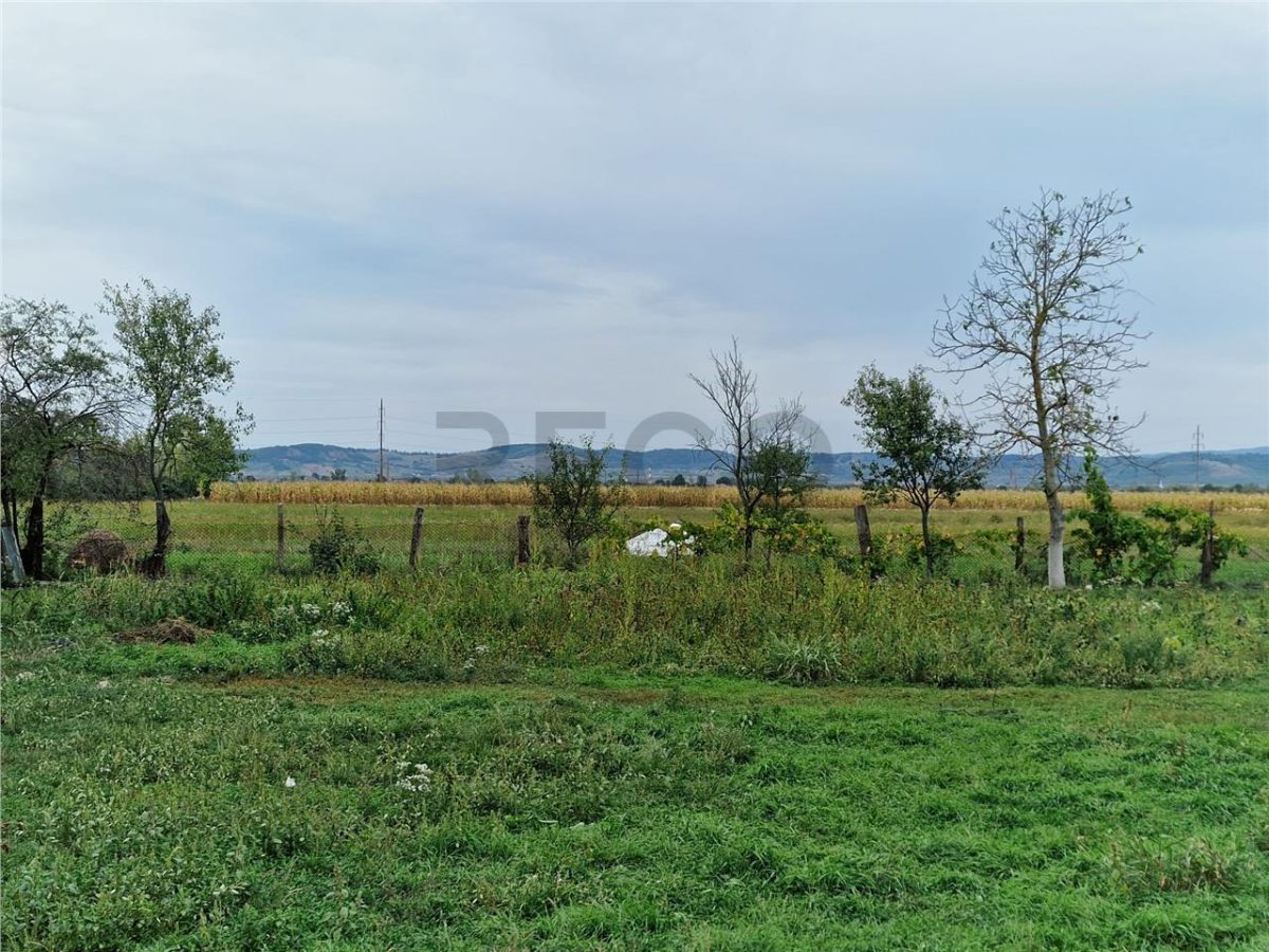 RECO teren  intravilan Tilecus - 