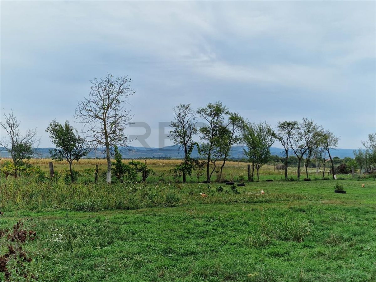 RECO teren  intravilan Tilecus - foto 3