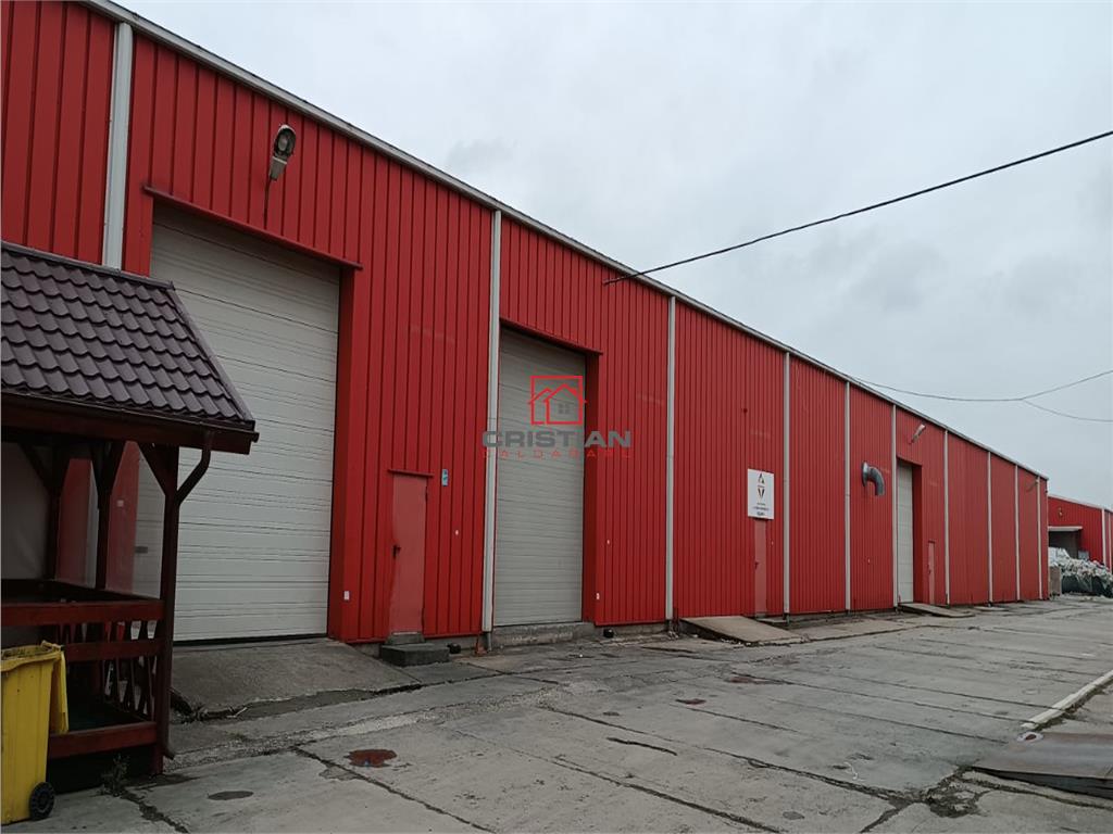 Inchiriere depozit/hala/spatiu industrial Stefanesti - A3 - Centura - foto 11