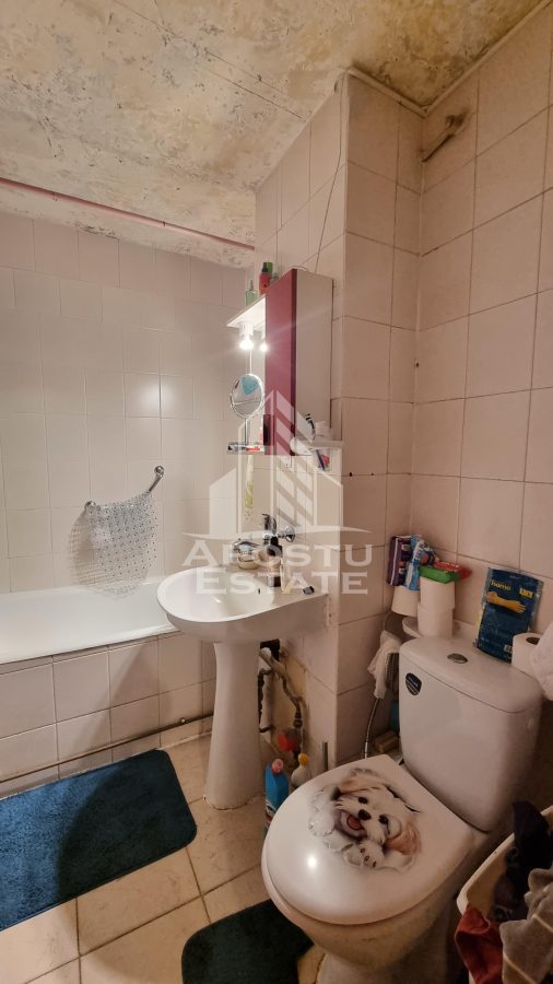 Apartament 2 camere de vanzare, zona Dorobantilor, Timisoara - foto 5
