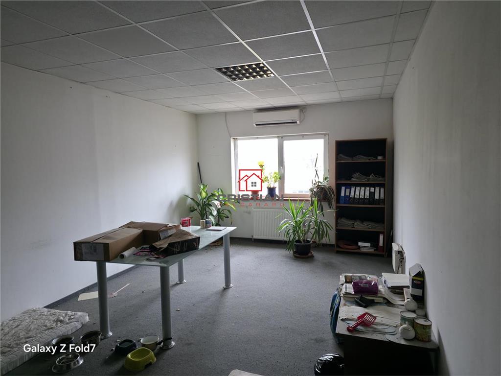 Inchiriere depozit/spatiu industrial/hala Basarabia - Faur - foto 11