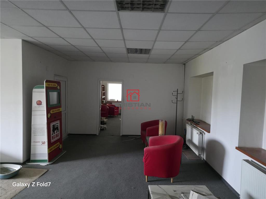 Inchiriere depozit/spatiu industrial/hala Basarabia - Faur - foto 12