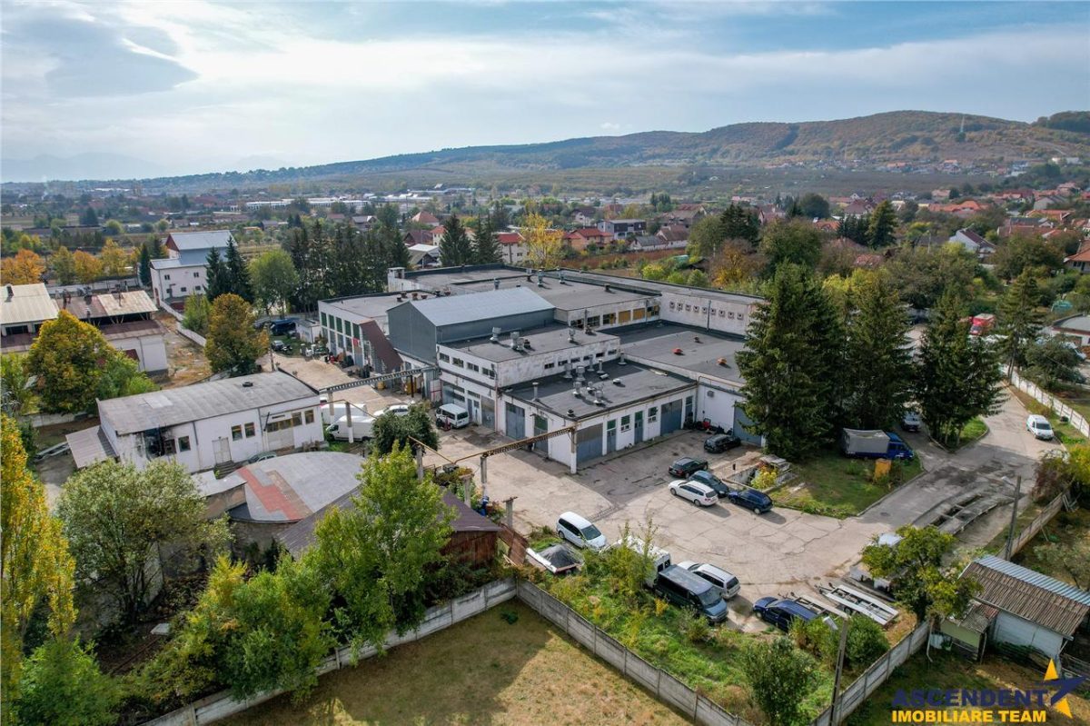 FILM! Ansamblu: Spatii comerciale, birouri, productie si similare, Sfantu Gheorghe, Covasna - 