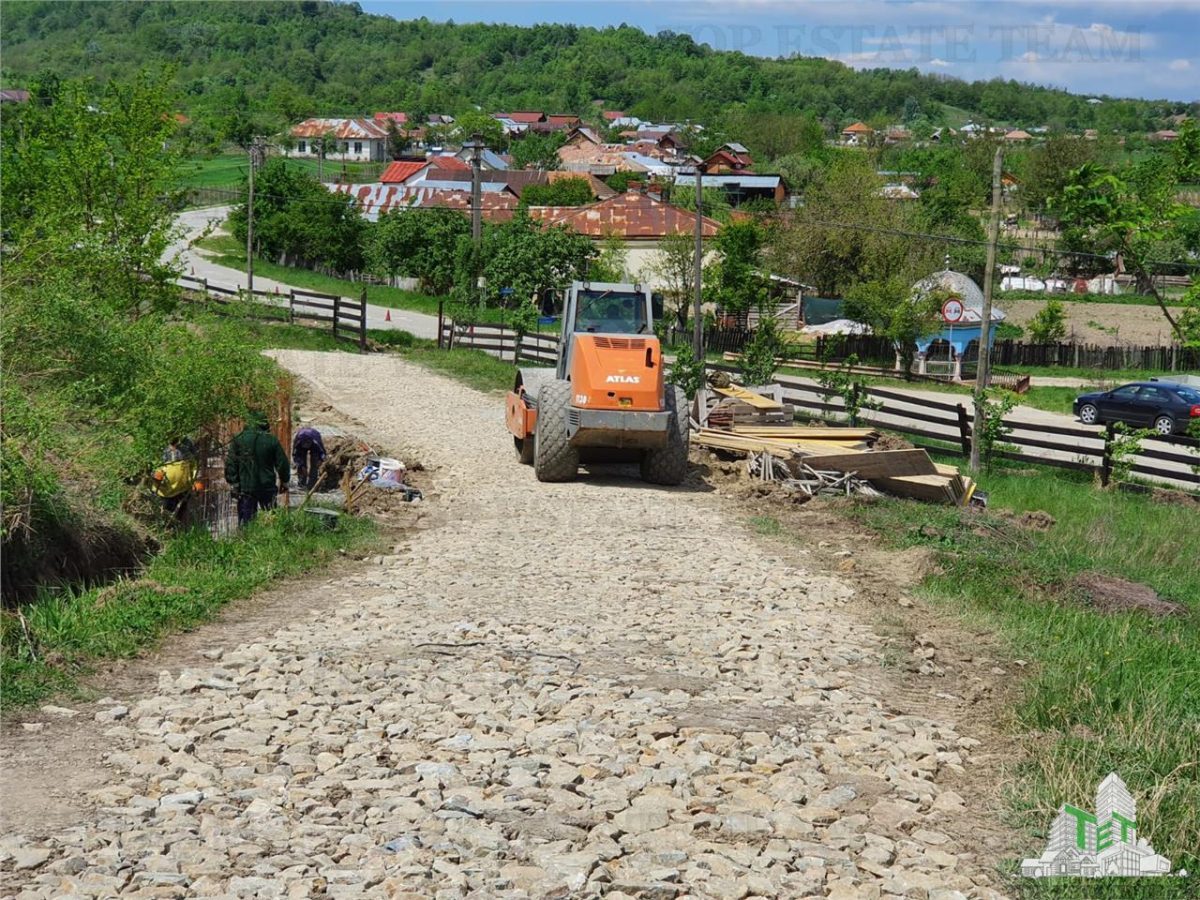 Casa de vanzare in Stanomiru  Judetul Valcea cu un teren in suprafata de 320000 mp - foto 3