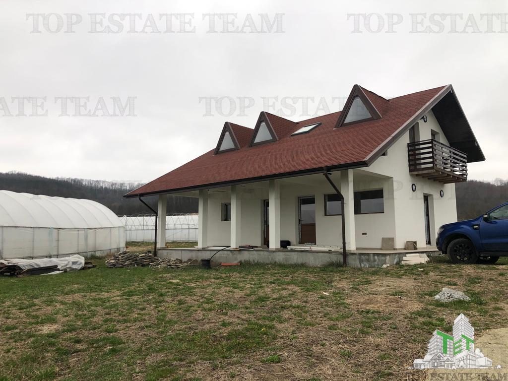 Casa de vanzare in Stanomiru  Judetul Valcea cu un teren in suprafata de 320000 mp - foto 9