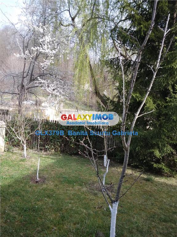 Vanzare vila   4 camere,,teren 730 mp zona Izvoarele,Prahova - foto 10