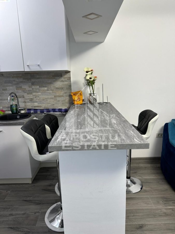 Apartament 1 camera de inchiriat â€“ Circumvalatiunii, Timisoara - foto 11