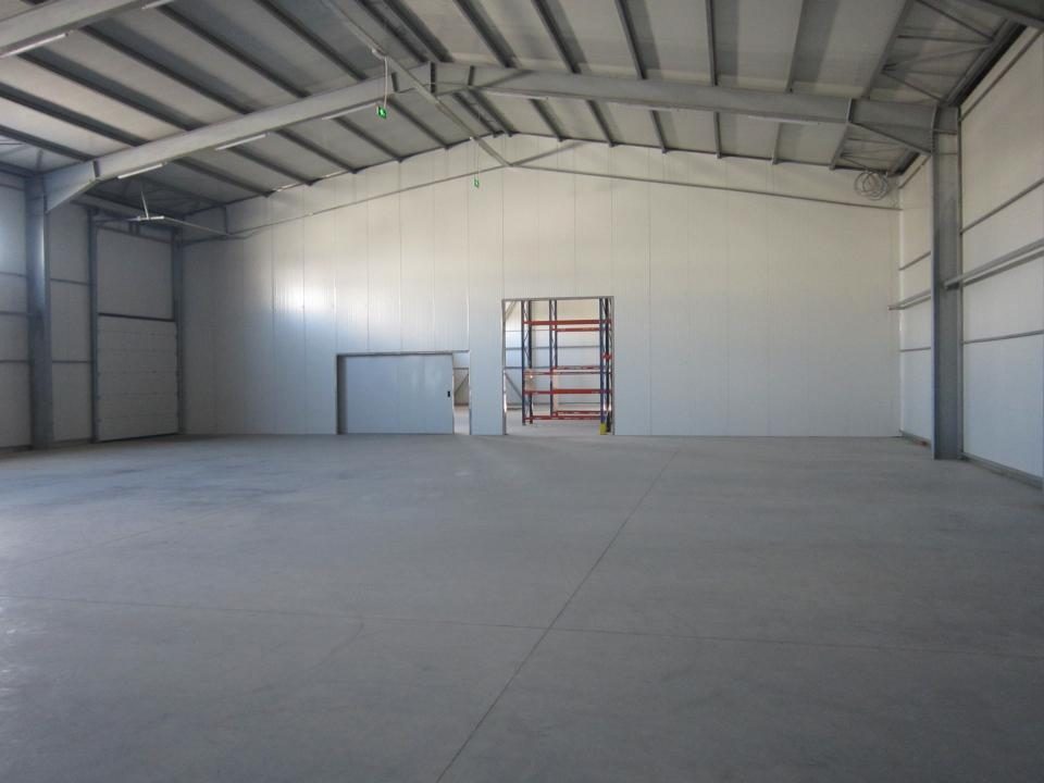 ZONA EST - Theodor Pallady - DRUMUL INTRE TARLALE - A2 - foto 2