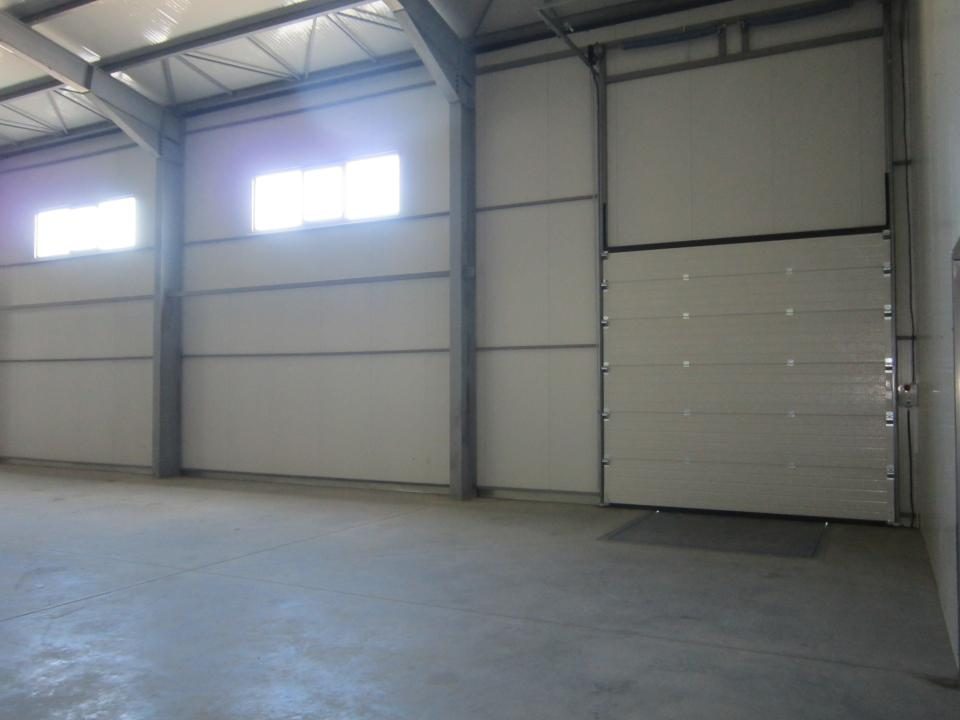 ZONA EST - Theodor Pallady - DRUMUL INTRE TARLALE - A2 - foto 3