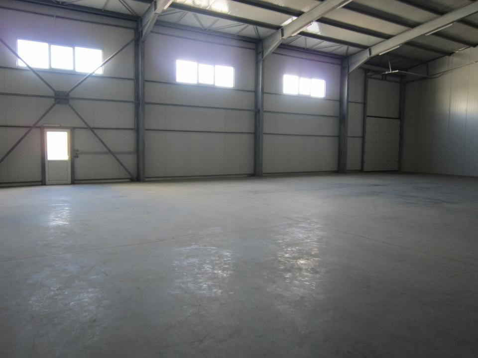 ZONA EST - Theodor Pallady - DRUMUL INTRE TARLALE - A2 - foto 4