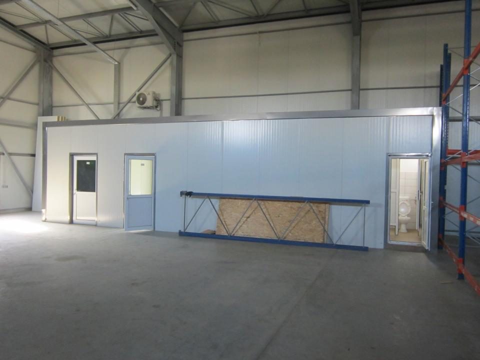 ZONA EST - Theodor Pallady - DRUMUL INTRE TARLALE - A2 - foto 5