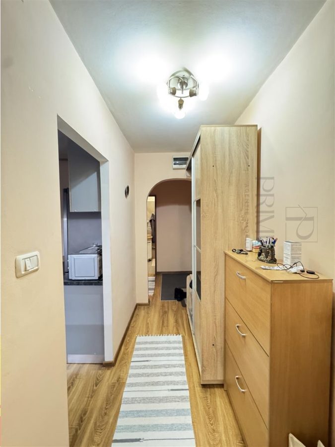 BUZIASULUI - 3 CAMERE - 2 BAI - ETAJUL 1 - 2 BALCOANE - BLOC IZOLAT - CENTRALA PROPRIE - foto 8