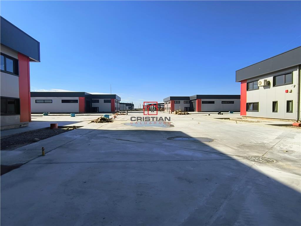 Inchiriere depozit/hala/spatiu industrial Domnesti - Centura - foto 2