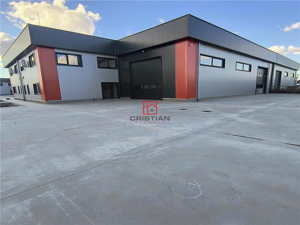 Inchiriere depozit/hala/spatiu industrial Domnesti - Centura - foto 3