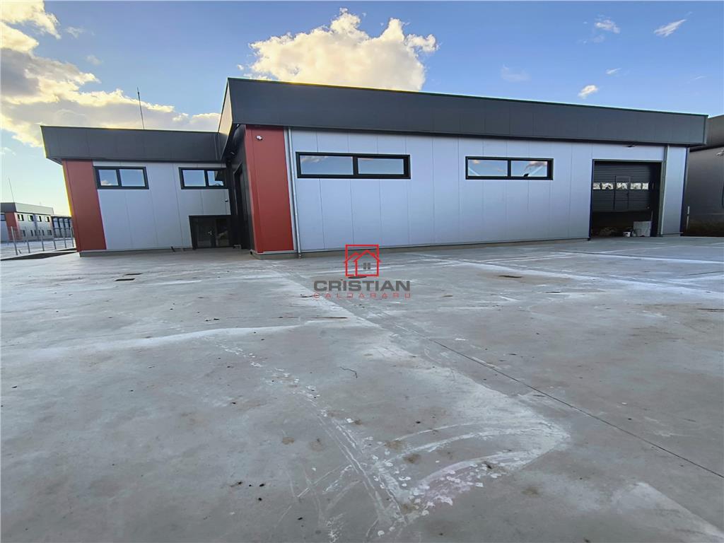 Inchiriere depozit/hala/spatiu industrial Domnesti - Centura - foto 4