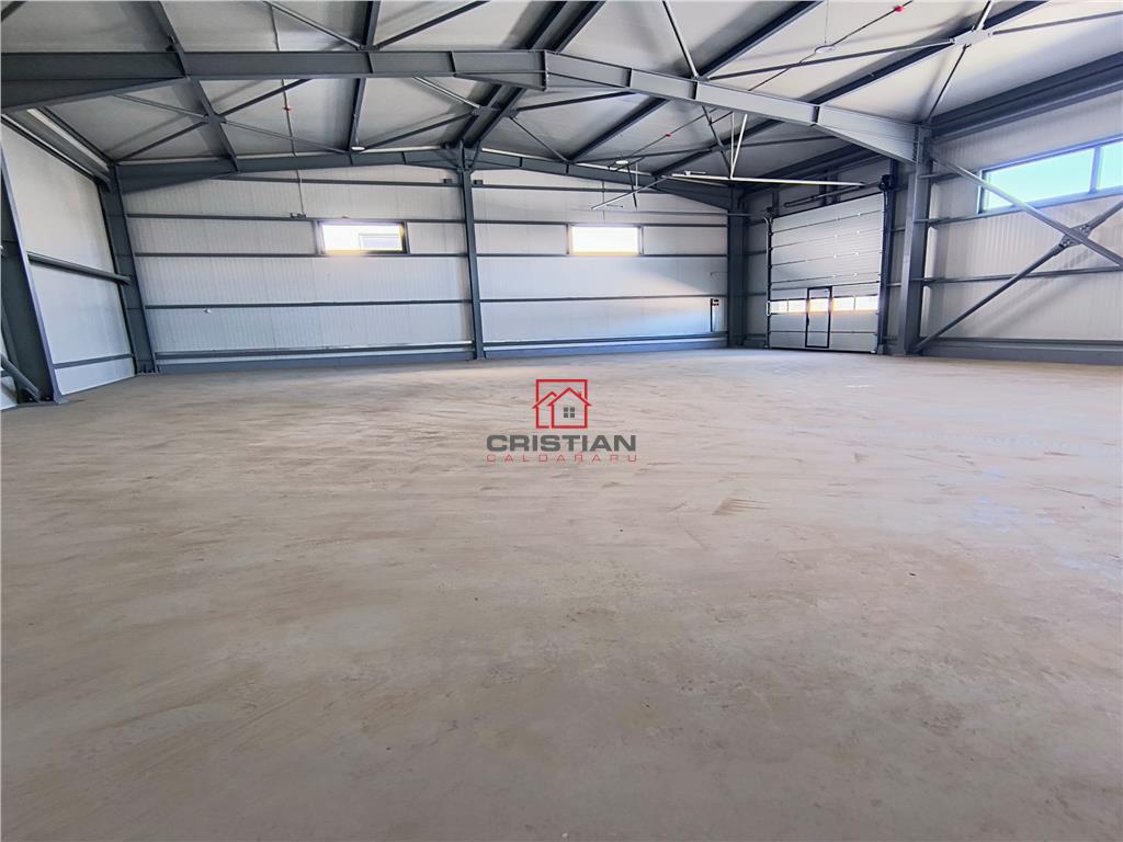 Inchiriere depozit/hala/spatiu industrial Domnesti - Centura - foto 5