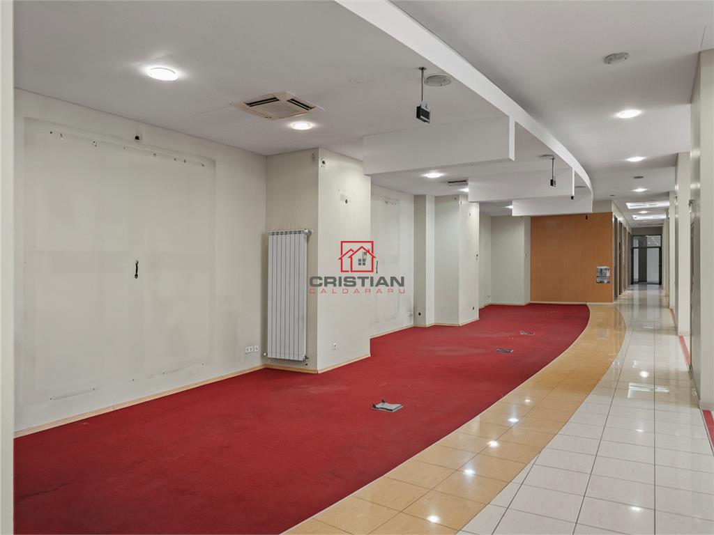 Inchiriere spatiu comercial Pantelimon - Piata Delfinului, Bucuresti - foto 12