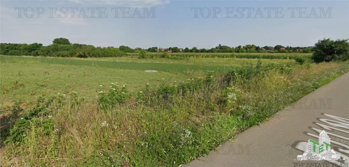 Teren in Snagov 500 mp - foto 4