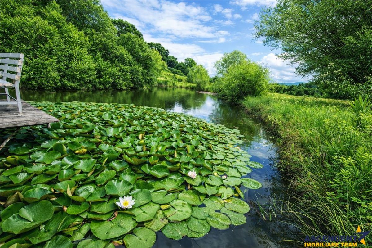 Rafinament in cartier linistit, pe 30.000 mp teren paradis, facilitati Premium - 