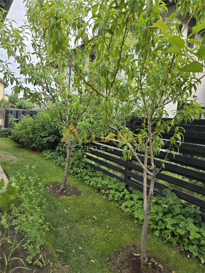 Casa mobilata si utilata- 4 camere - 2 bai - 350mp teren - foto 8