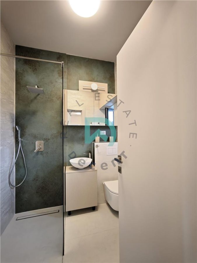 Casa de inchiriat, Cristian Brasov - foto 21