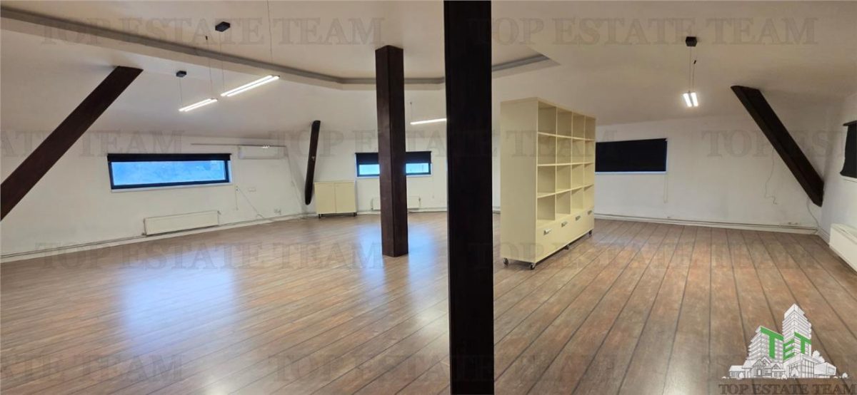 Casa individuala de vanzare - zona Domenii - foto 4