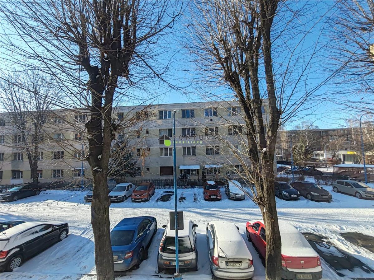 Camera cu baie Tractorul - foto 8