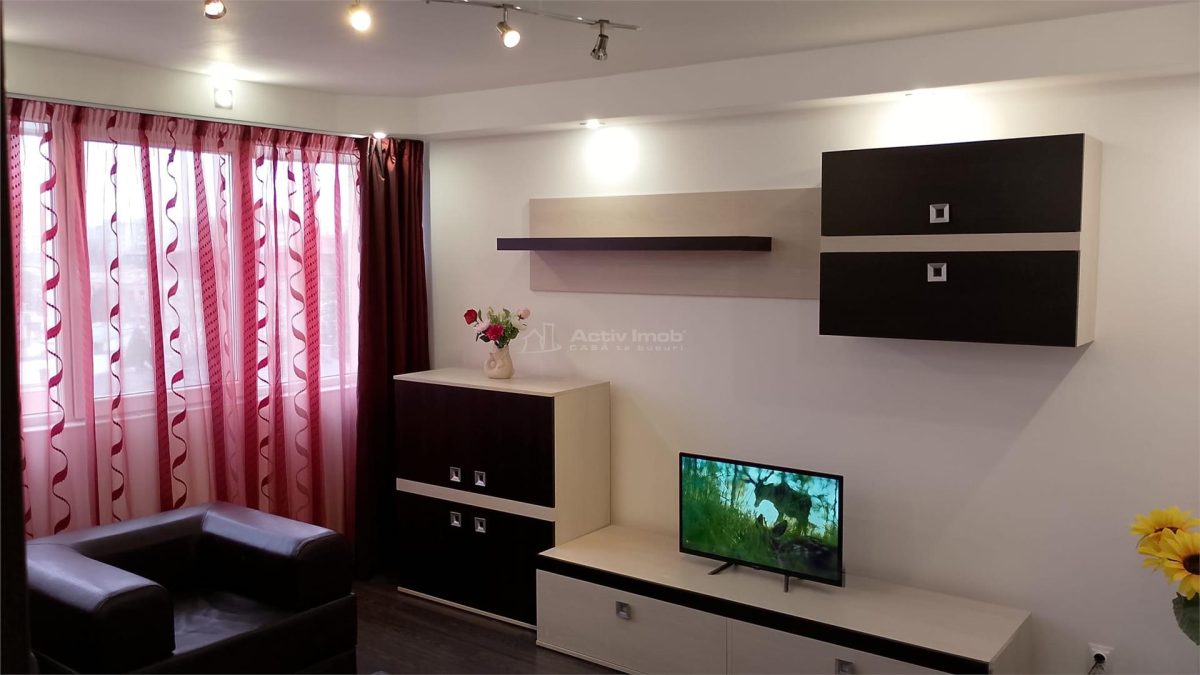 2 cam. Unirii - Cantemir - Metrou Tineretului - foto 3