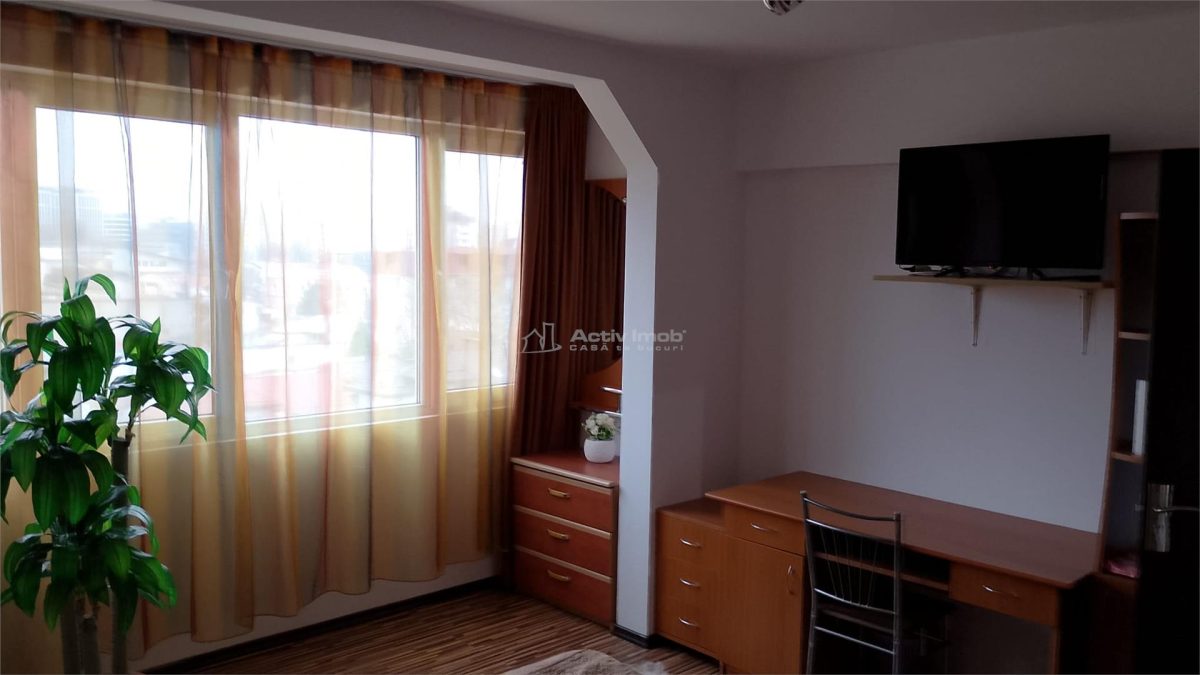 2 cam. Unirii - Cantemir - Metrou Tineretului - foto 5