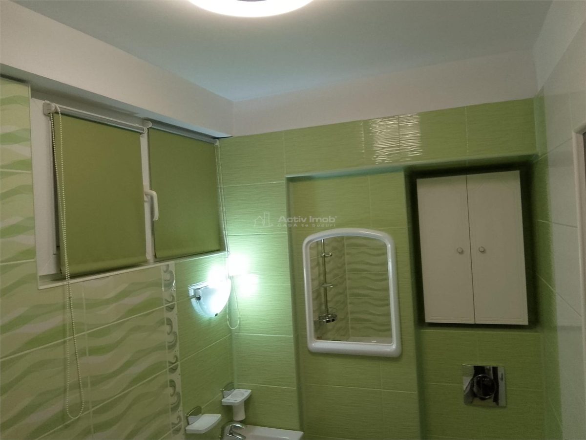 2 cam. Unirii - Cantemir - Metrou Tineretului - foto 9