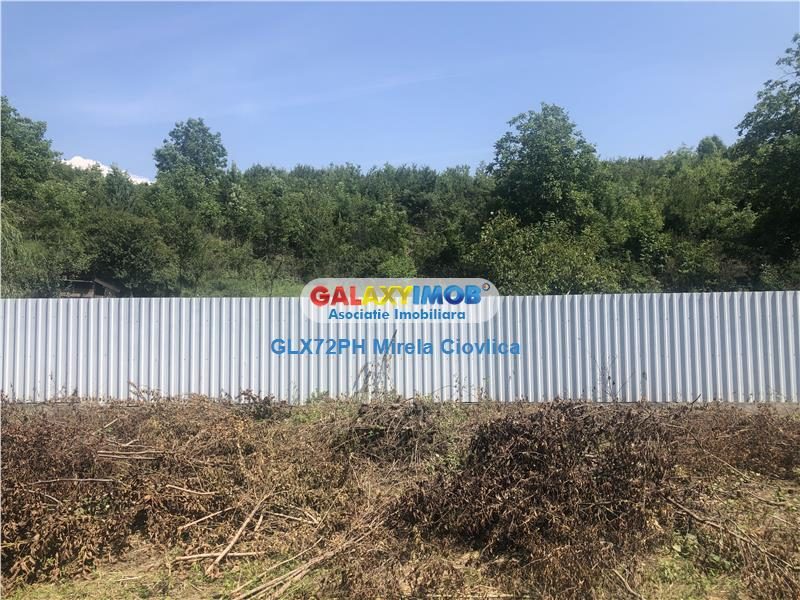 Vanzare Casa Campina -Cornu DN1 - foto 15