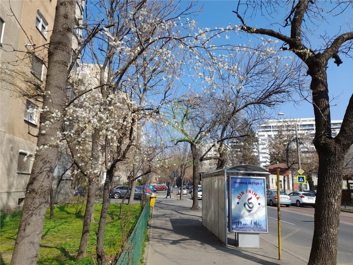 SEBASTIAN, JUMBO, NASAUD, 4 CAMERE PARTER, 94 MP, BLOC 1989 - foto 2