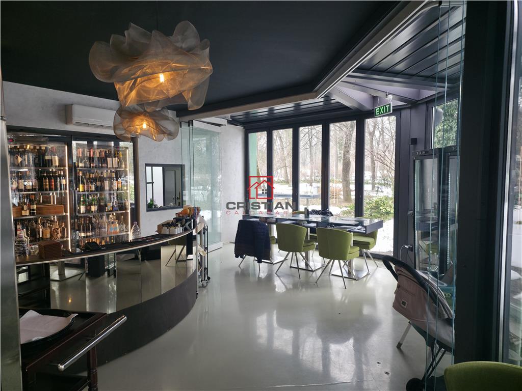 Inchiriere spatiu comercial/restaurant/afacere la cheie  Nordului - Herastrau Parc, Bucuresti - foto 7
