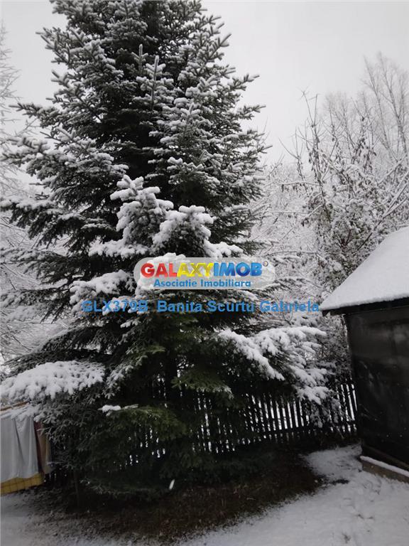 Vanzare vila  4 camere ,730 mp zona Izvoarele, jud Prahova - foto 5