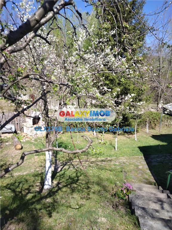 Vanzare vila  4 camere ,730 mp zona Izvoarele, jud Prahova - foto 6