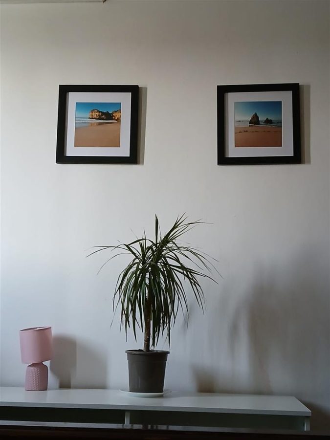 Apartament 3 camere zona Victoriei-Titulescu - foto 11