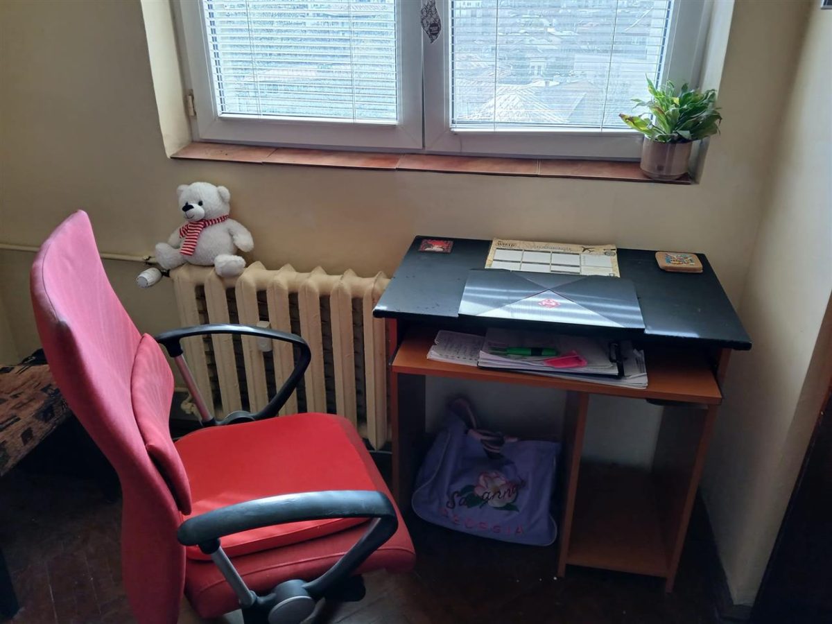 Apartament 3 camere zona Victoriei-Titulescu - foto 10