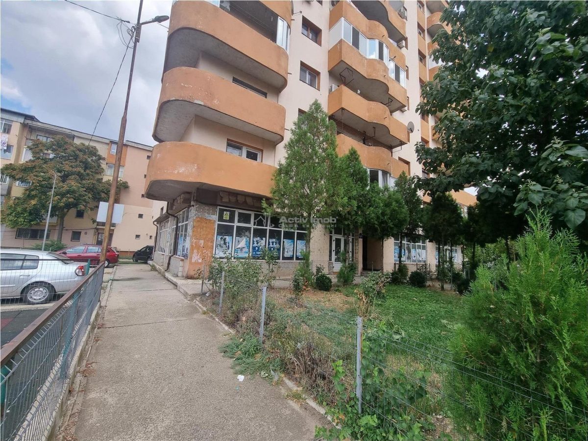 Spatii Comerciale Alexandria Str Dunarii - foto 15