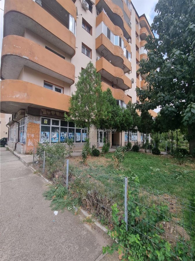 Spatii Comerciale Alexandria Str Dunarii - foto 4