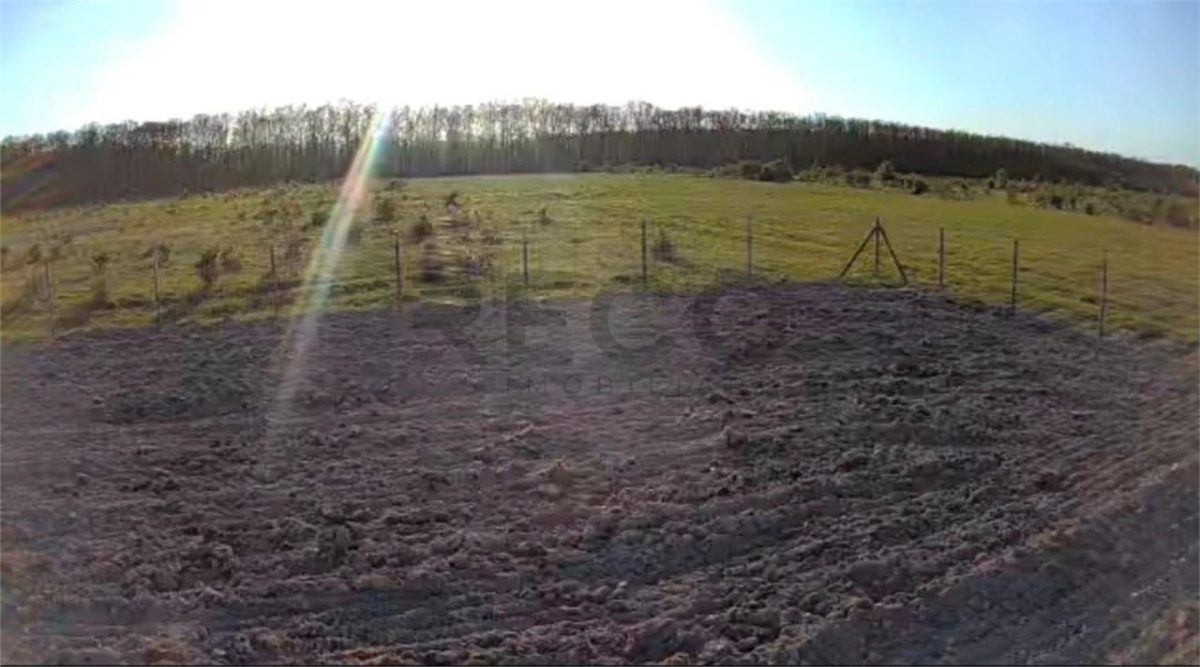 RECO Teren Intravilan de vanzare  Pausa, Bihor ,14 km de Oradea - 