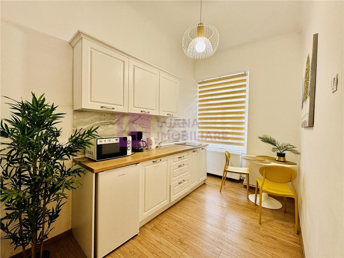 Doua apartamente de vanzare | Ultracentral | Renovate | Curte 100 mp | video - 