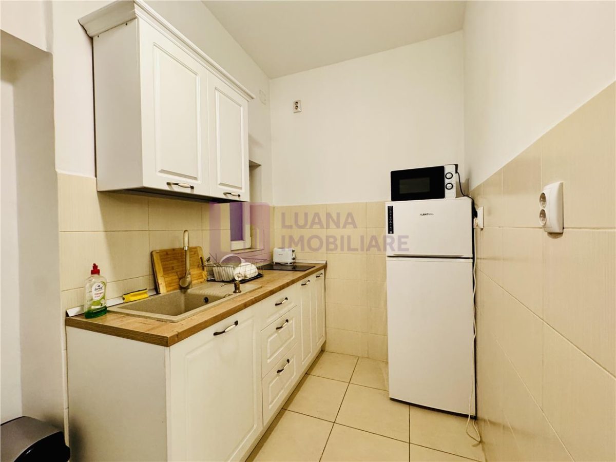 Doua apartamente de vanzare | Ultracentral | Renovate | Curte 100 mp | video - foto 13